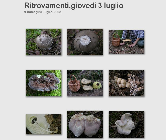 Ritrovamenti,gioved 3 luglio.